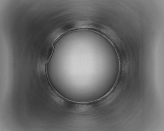X0000110881273200906251241