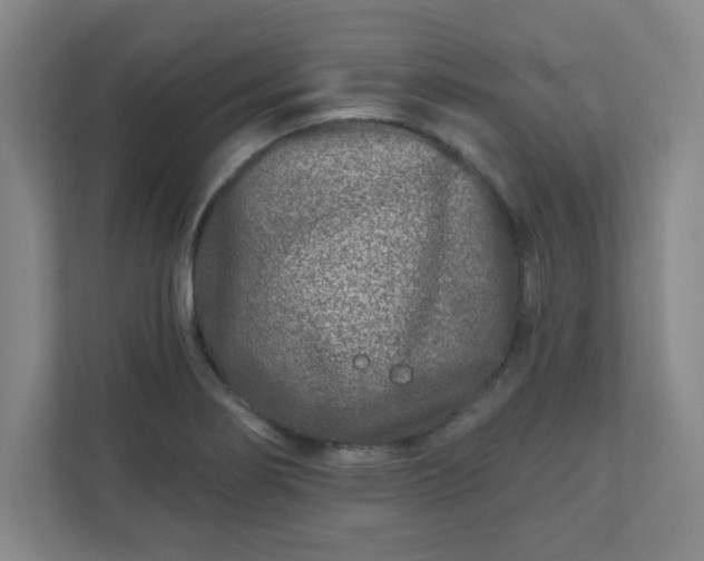 X0000110881274200906251241