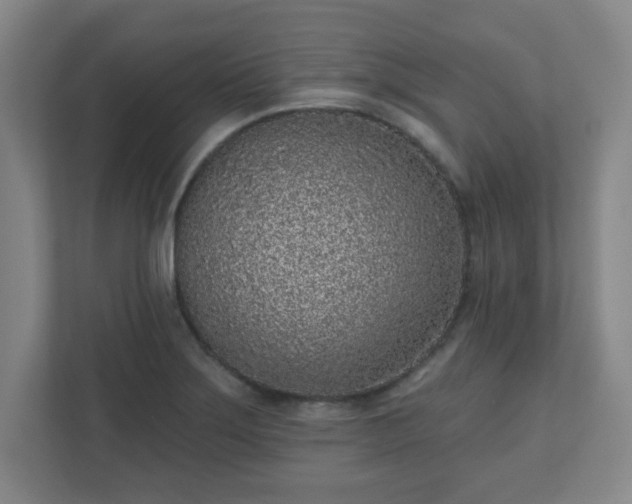 X0000110881275200906251241