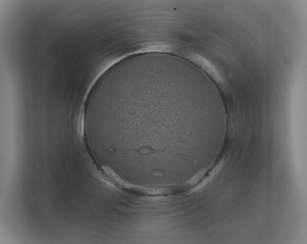 X0000110881276200906251241