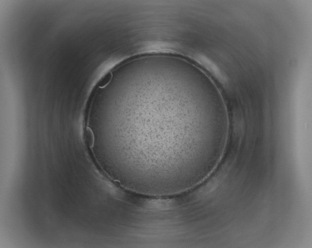 X0000110881277200906251241
