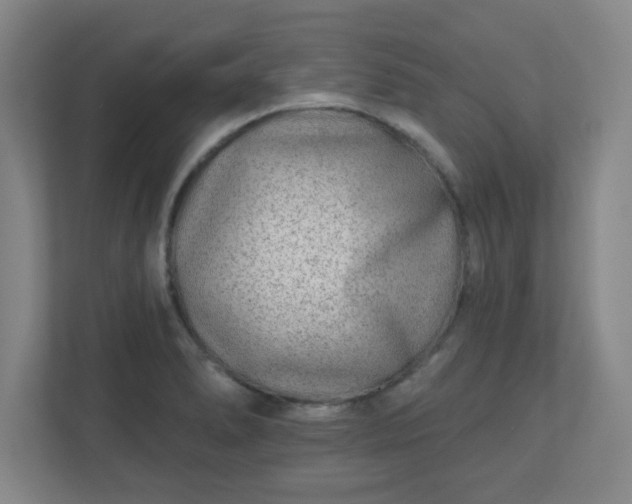 X0000110881278200906251241