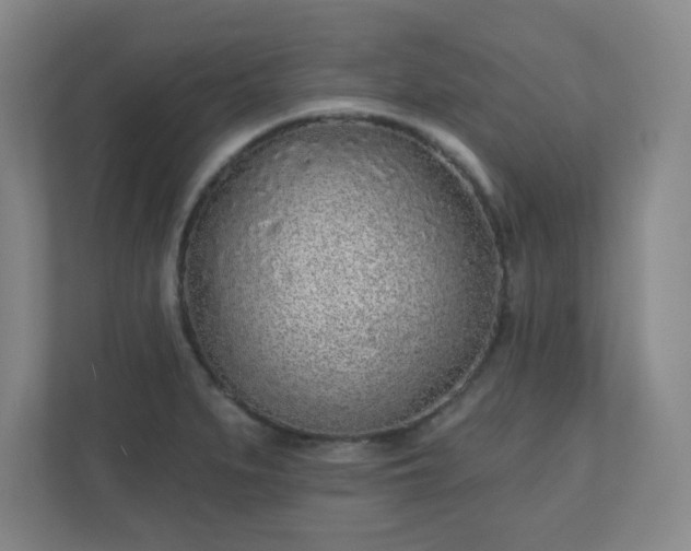X0000110881279200906251241