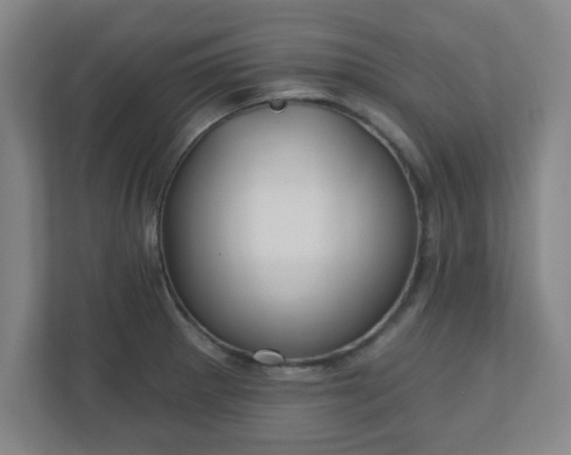 X0000110881281200906251241