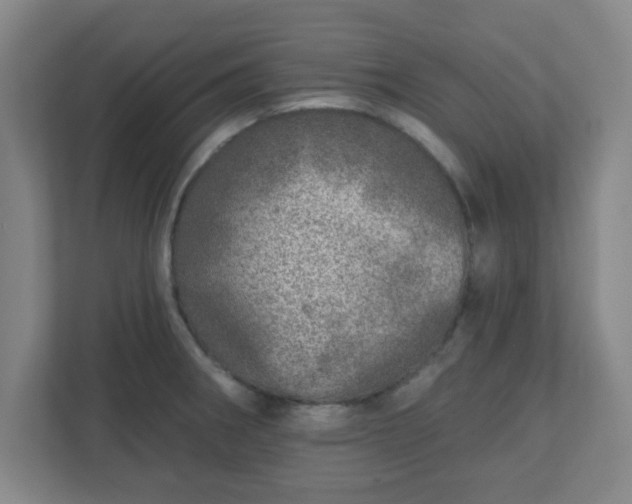 X0000110881282200906251241