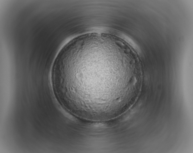 X0000110881283200906251241