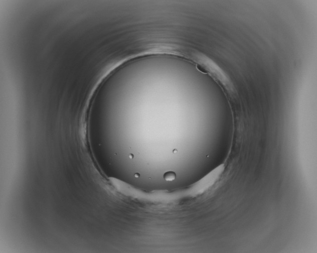 X0000110881284200906251241