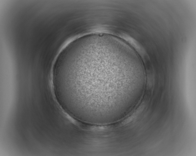 X0000110881286200906251241