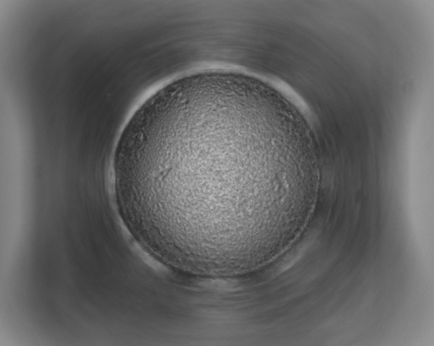 X0000110881287200906251241