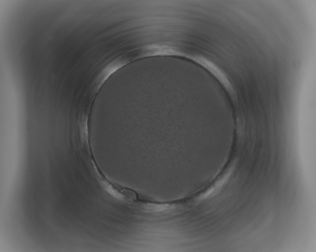 X0000110881289200906251241