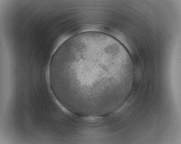 X0000110881290200906251241