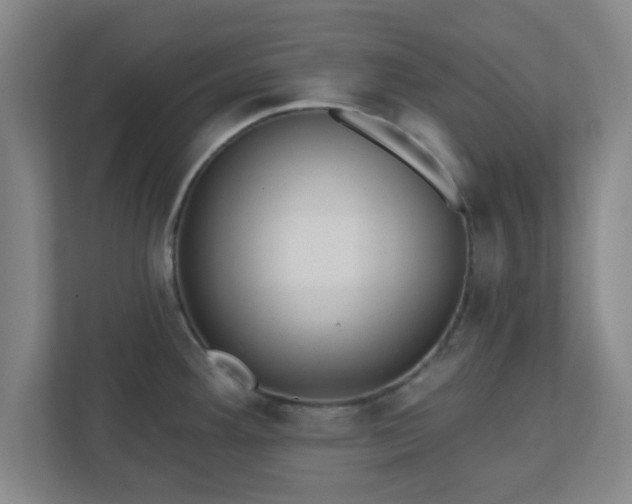 X0000110881292200906251241