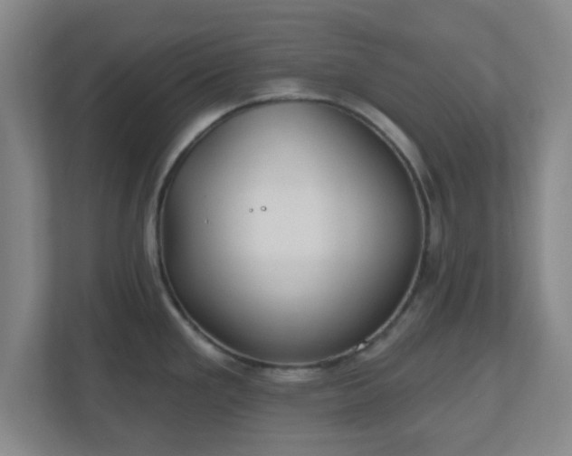 X0000110881293200906251241