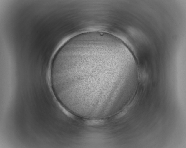 X0000110881294200906251241