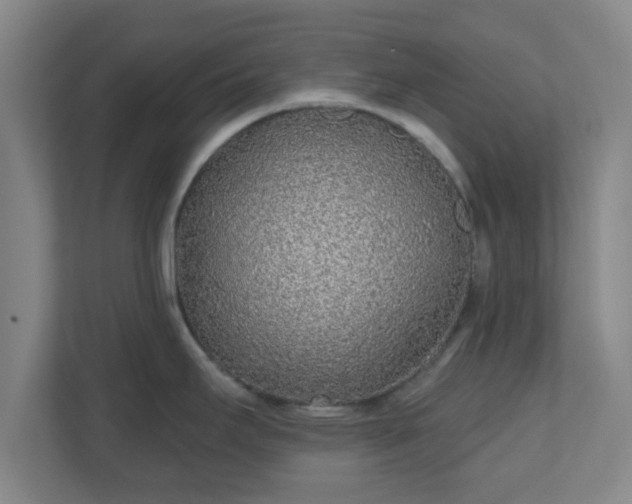 X0000110881295200906251241