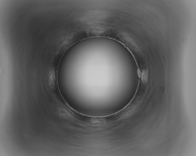X0000110881299200906251240