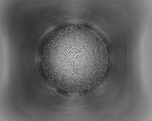 X0000110881302200906251240