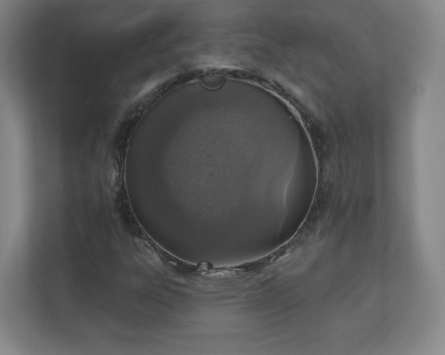 X0000110881303200906251240