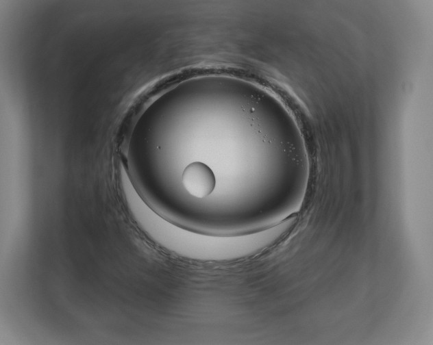 X0000110881304200906251240