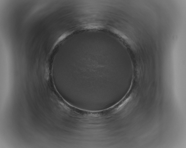 X0000110881306200906251241