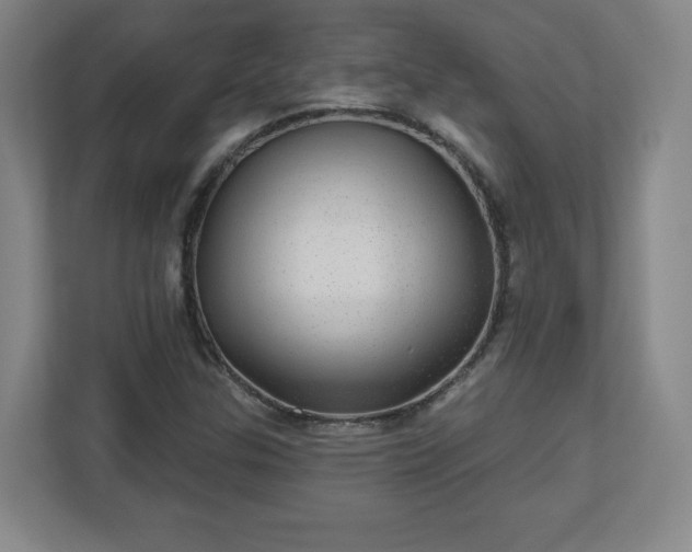 X0000110881307200906251241