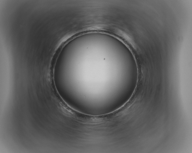 X0000110881308200906251241
