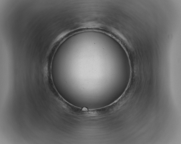 X0000110881315200906251241