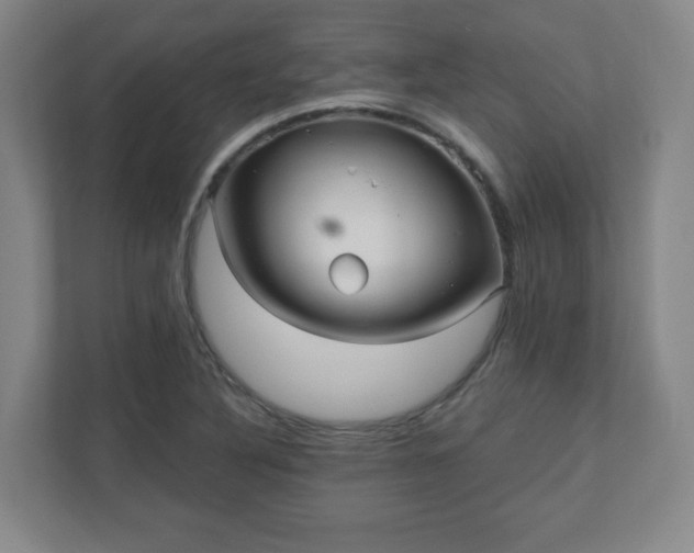 X0000110881316200906251241