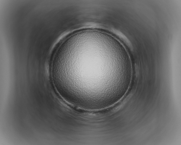X0000110881318200906251241