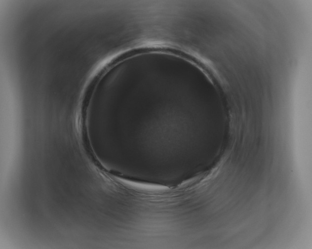 X0000110881319200906251241