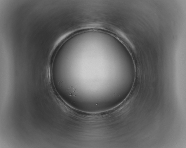 X0000110881320200906251241