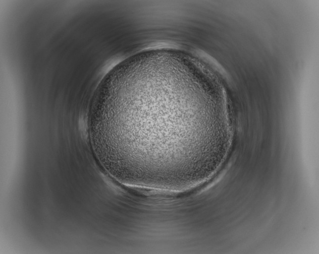 X0000110881321200906251241