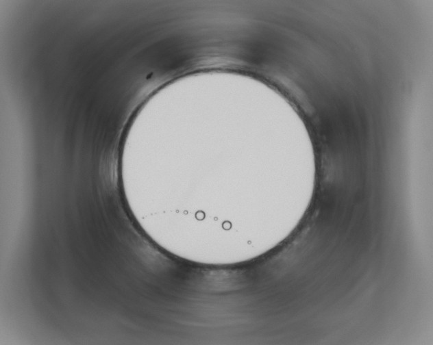 X0000110881322200906251241