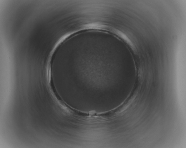 X0000110881323200906251241