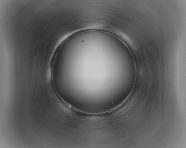 X0000110881324200906251241