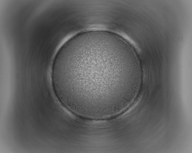 X0000110881325200906251241