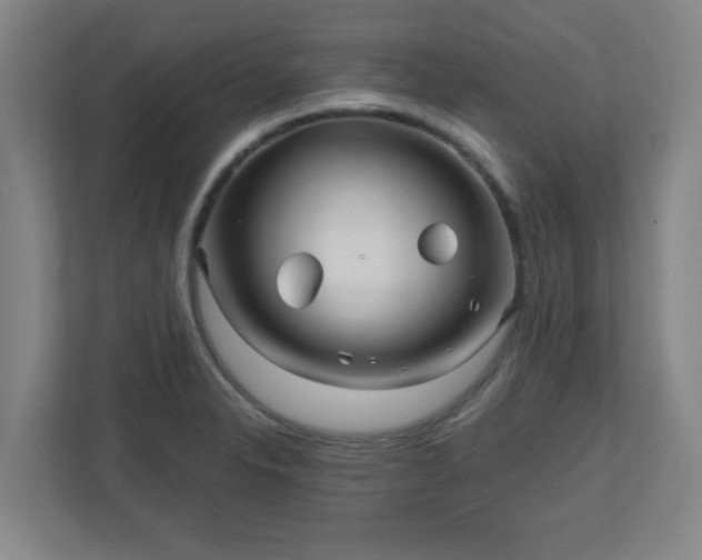 X0000110881326200906251241