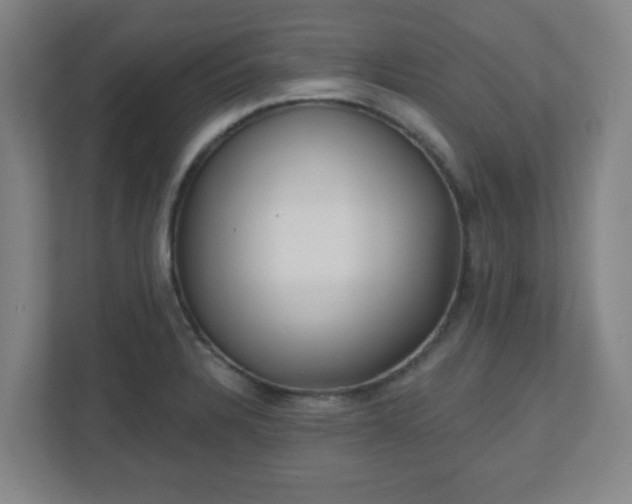 X0000110881328200906251241