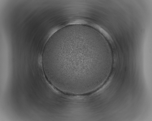 X0000110881329200906251241