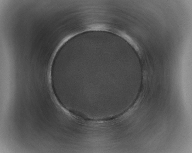X0000110881331200906251241
