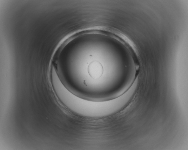 X0000110881332200906251241