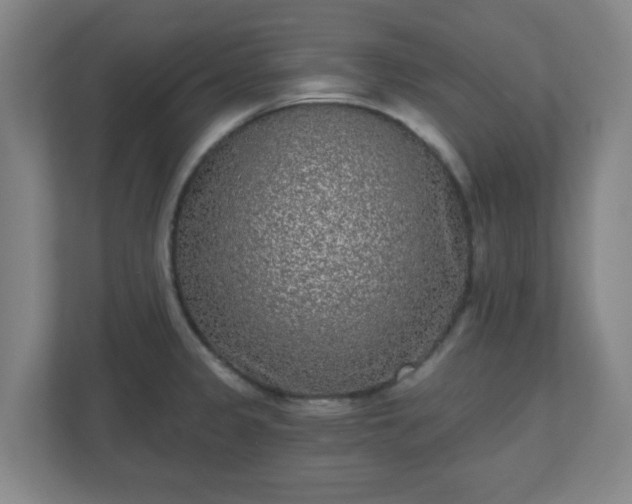 X0000110881333200906251241