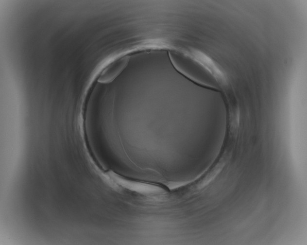 X0000110881334200906251241
