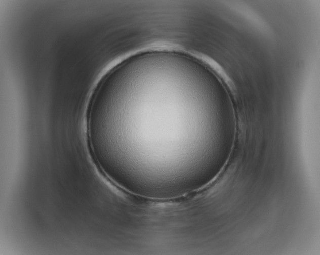 X0000110881335200906251241
