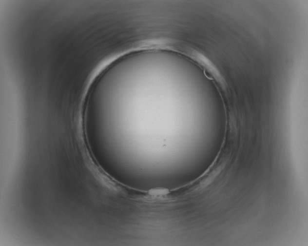 X0000110881336200906251241