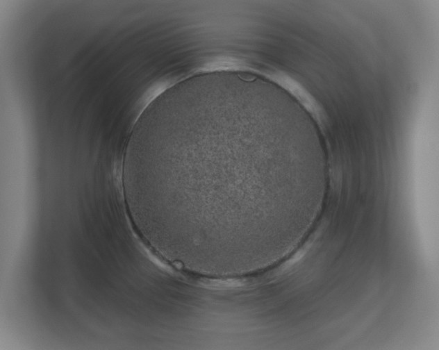 X0000110881337200906251241