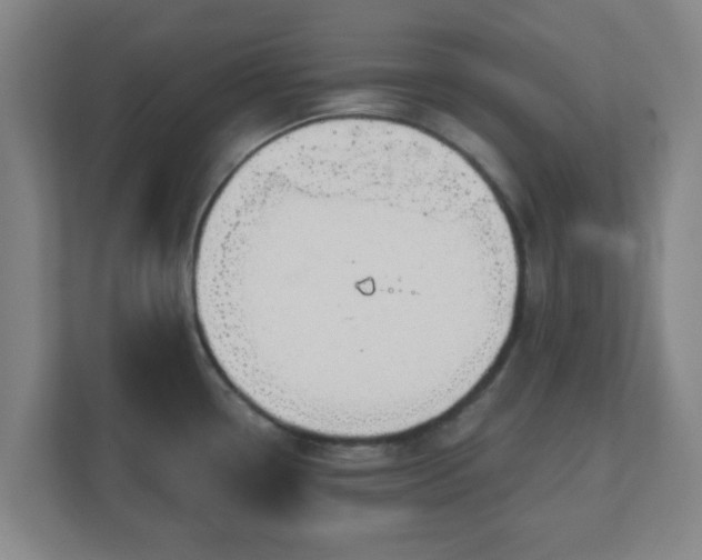 X0000110881338200906251241
