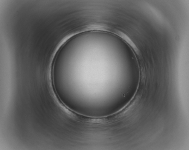 X0000110881339200906251241