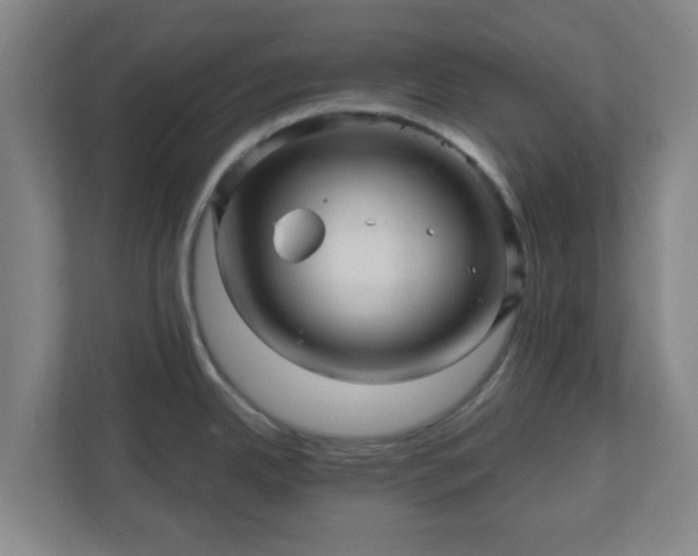 X0000110881342200906251241
