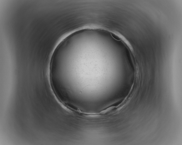 X0000110881343200906251241